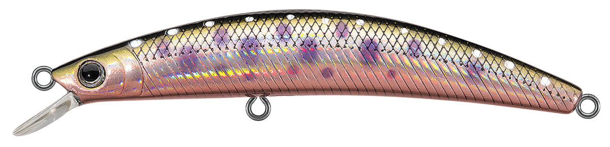 DR.MINNOW JERKBAITS