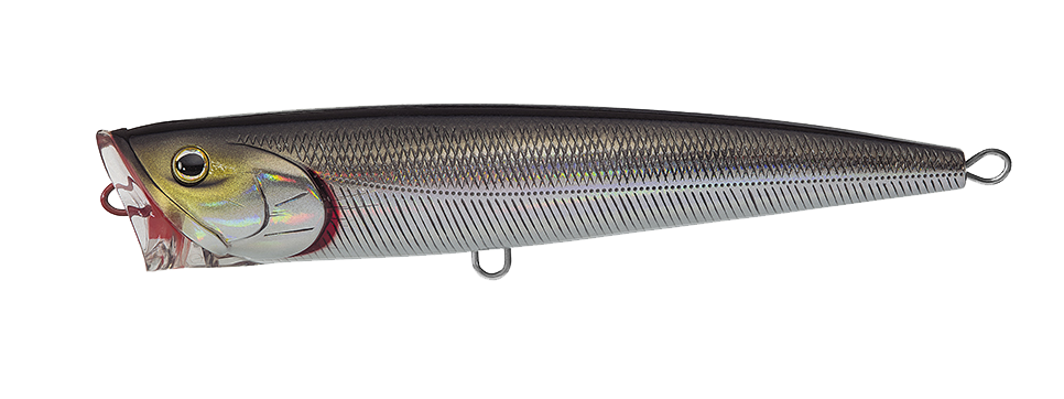 SALTIGA DORADO POPPER