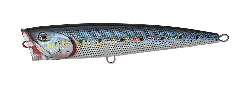 SALTIGA DORADO POPPER