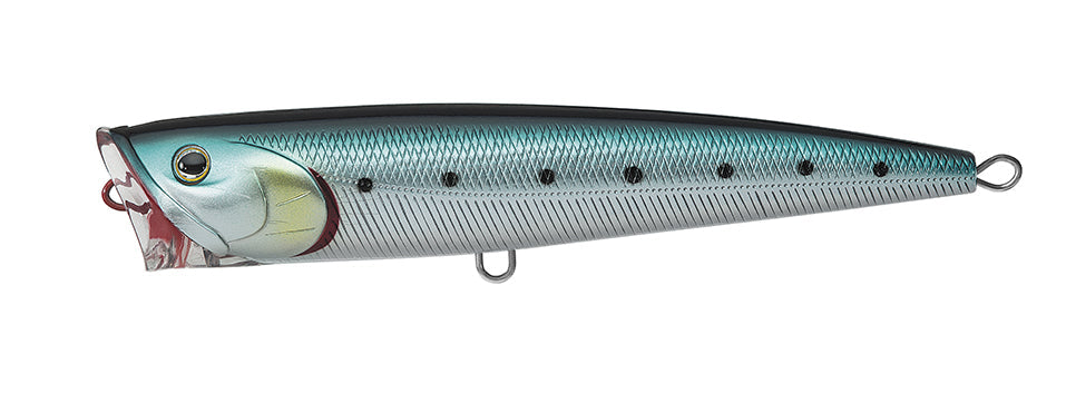 SALTIGA DORADO POPPER
