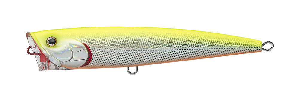 SALTIGA DORADO POPPER