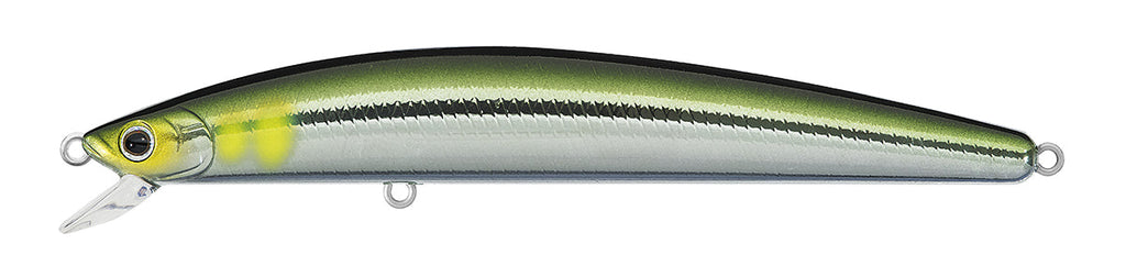 TD MINNOW