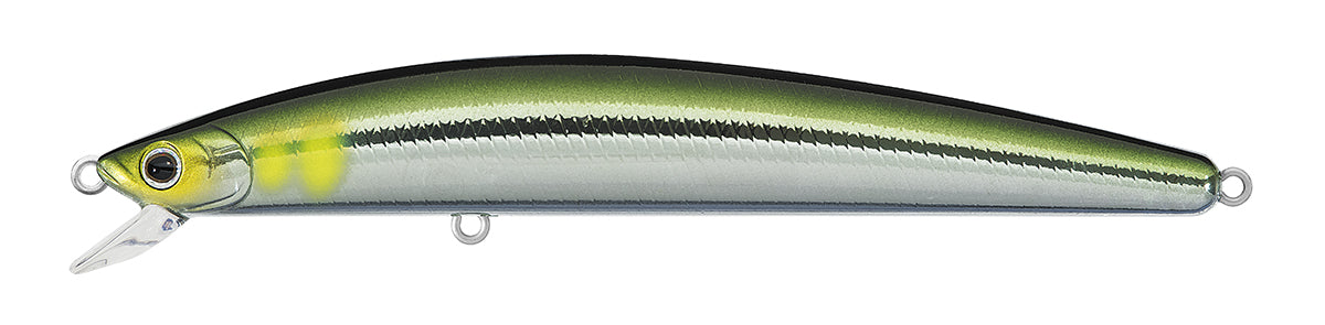 TD MINNOW