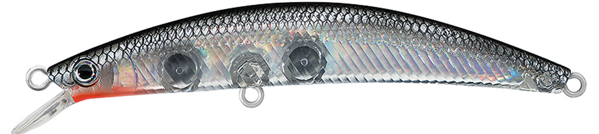 DR.MINNOW JERKBAITS