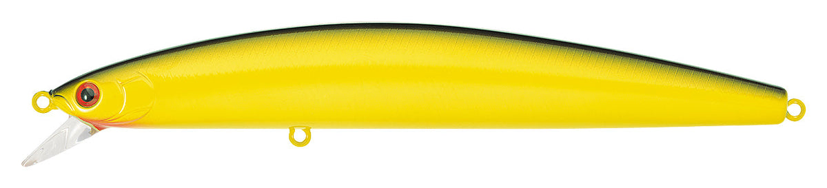 SALT PRO MINNOW (FLOATING)