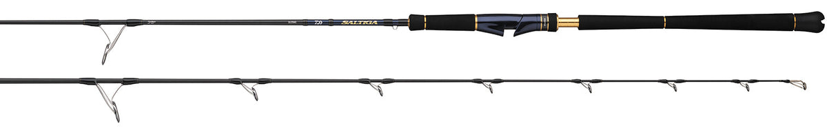 SALTIGA JIGGING RODS